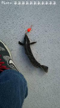 �����ʥ�