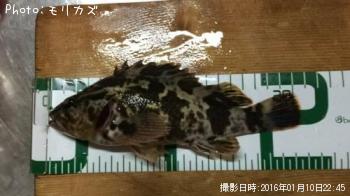 ¥¿¥±¥Î¥³¥á¥Ð¥ë