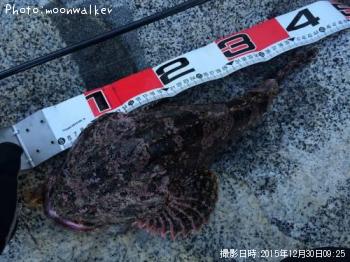 ¥®¥¹¥«¥¸¥«