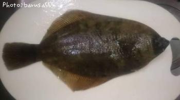 �����ޥ����쥤