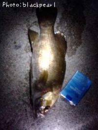 �������ɥ�