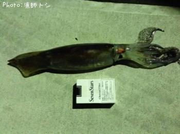 ����ᥤ��