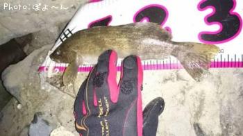 �����ʥ�