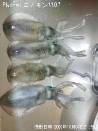 �����ꥤ��