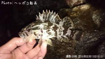 �����Υ���Х�