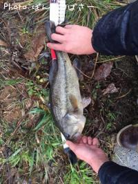 ¥Ö¥é¥Ã¥¯¥Ð¥¹