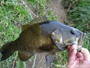 ���⡼��ޥ���