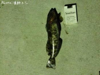 �����ʥ�