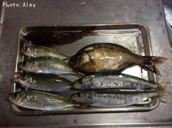 ���������亮�������ʥ����ϥ�