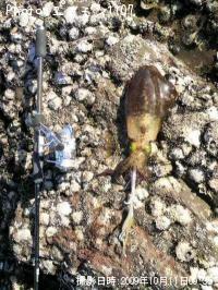 �����ꥤ��