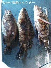 �����Υ�����Х�