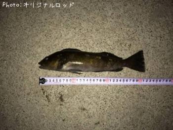 �����ʥ�