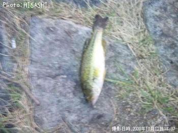 ¥Ö¥é¥Ã¥¯¥Ð¥¹