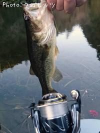 ¥Ö¥é¥Ã¥¯¥Ð¥¹