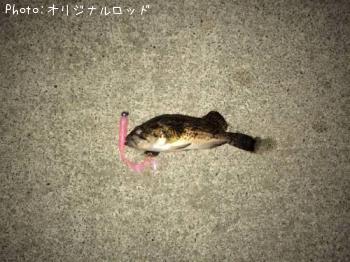 ¥½¥¤
