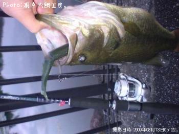 ¥Ö¥é¥Ã¥¯¥Ð¥¹