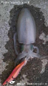 ¥¢¥ª¥ê¥¤¥«