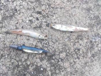 �����Х�