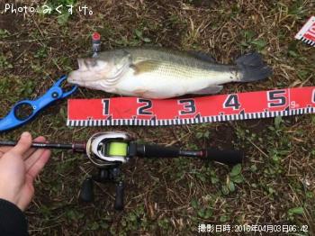 �֥�å��Х�