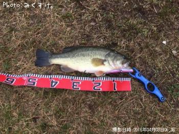 �֥�å��Х�