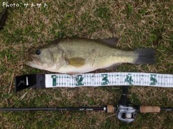 ¥Ö¥é¥Ã¥¯¥Ð¥¹