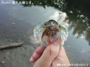 ¥Ö¥é¥Ã¥¯¥Ð¥¹