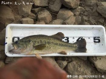 �֥�å��Х�