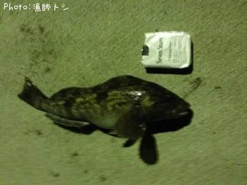 �����ʥ�