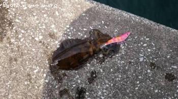 �����ꥤ��