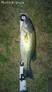 �֥�å��Х�