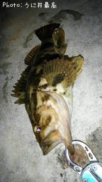 �٥å�������