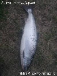 ������ޥ�