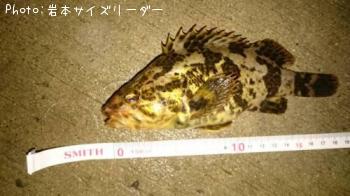 �����Υ���Х�