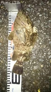 ��������Х�