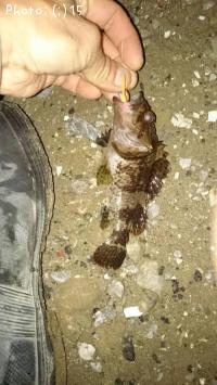 ��������Х�