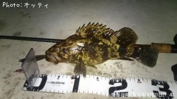 �٥å�������