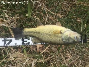 �֥�å��Х�