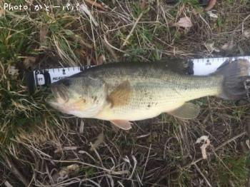 ¥Ö¥é¥Ã¥¯¥Ð¥¹