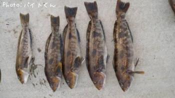 �����ʥ�