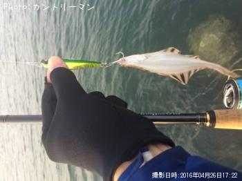 ¥«¥ï¥¬¥ì¥¤