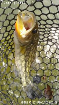 �֥�å��Х�