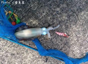 �����ꥤ��