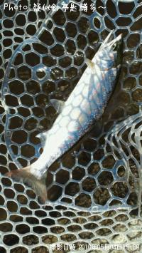 ���ĥ��ޥ�