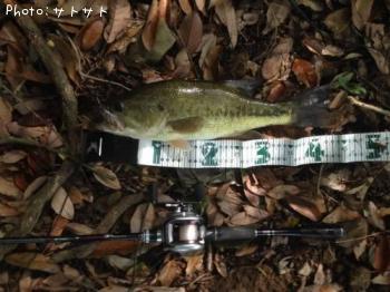 �֥�å��Х�