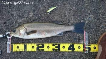 �����Х�