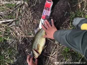 ¥Ö¥é¥Ã¥¯¥Ð¥¹