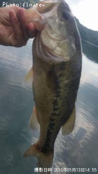 ¥Ö¥é¥Ã¥¯¥Ð¥¹