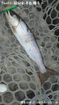 ���ĥ��ޥ�