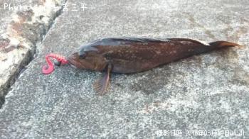 �����ʥ�