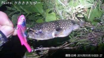 ¥¯¥í¥À¥¤¡õ¥°¡¼¥Õ¡¼